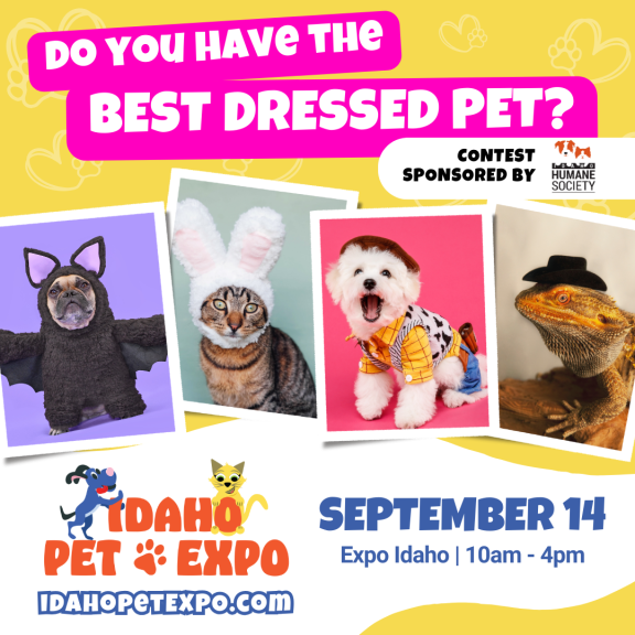 Pet Costume Contest!